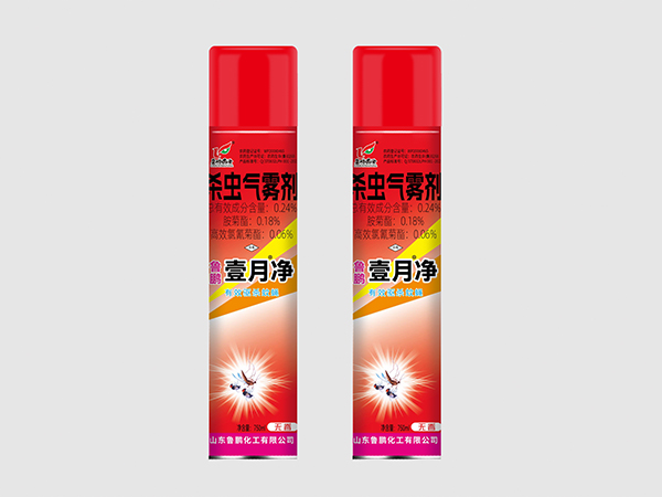 A8壹月凈殺蟲氣霧劑